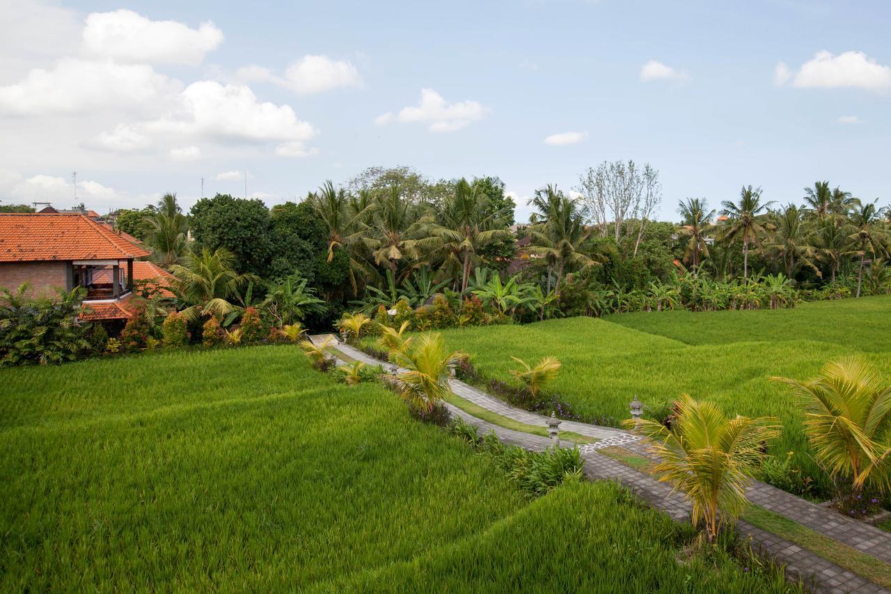 Kama Bisma Cottage Ubud Extérieur photo